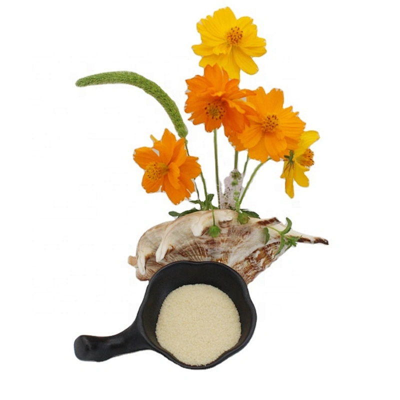 2024 new arrival manufacturer edible gelatin 25kg/bag 120-300 bloom